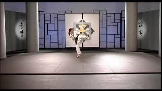 Chung San - 3rd Degree Black Belt Form Songahm Taekwondo - Best Martial Arts Austin Texas