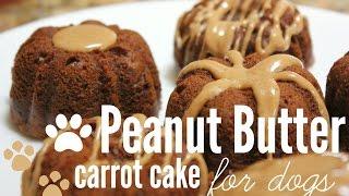 How to Make Peanut Butter Carrot Cake for dogs  rachel republic