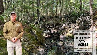 575± Acres For Sale  Maine Real Estate