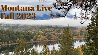 Montana Live Fall 2023