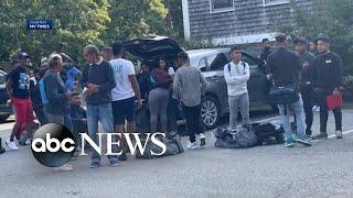 Humanitarian crisis latest 50 migrants flown to Martha’s Vineyard  ABCNL