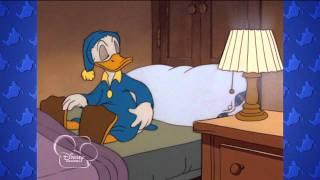 Have a Laugh  Classic Donald Duck  Disney Channel UK