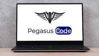 Need a Website  Pegasus Code