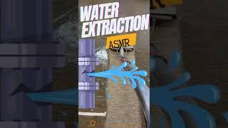 Clean Water Extraction ASMR Sounds NO  #asmrsounds #asmrcleaning #waterextraction #carpetcleaning