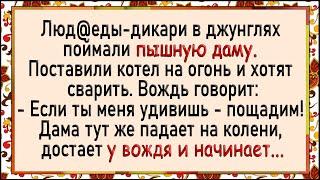 Как пышная дама вождя дикарей удивляла Сборник свежих анекдотов Юмор