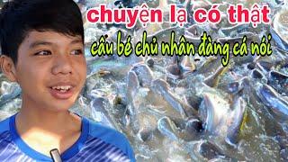 chuyện lạ có thật cậu bé chủ nhân đàng cá cho biết