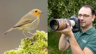 Bird Photography for Beginners 9 Tips with Paul Miguel Photography