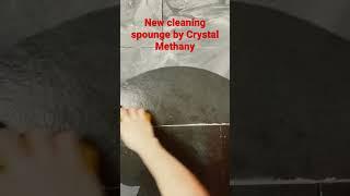 New huge sponge by Crystal Methany