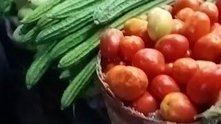 Goa vegetable and fruits market mathi மீன கோவால என்ன சொல்லுவாங்க fish names in Konkani Goa #goa