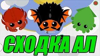 МОПИО новая СХОДКА Алиандра. Детская смешная игра Mope.io