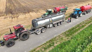 Gülle fahren 2024 Traktor CASE IHC 1455  Ausbringung & Grubbern landwirtschaftlicher Familienbetrieb