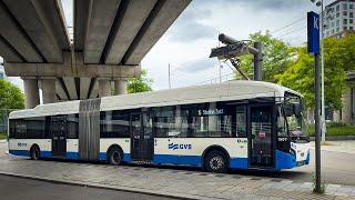 Buses in Amsterdam Netherlands   2024