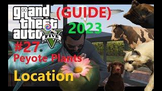 GTA 5 All 27 Peyote Plants Location 2023 Guide  Unlock the Secrets of Los Santos  4K 60FPS