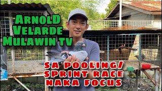 ARNOLD VELARDE MULAWIN TV  SA POOLING SPRINT RACE NAKA FOCUS Reggie Cruz Loft & Aviary