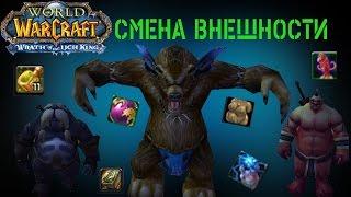 Смена Внешности WoW 3.3.5