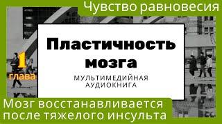 Пластичность мозга. Чувство равновесия. Мозг восстанавливается даже после тяжелого инсульта.