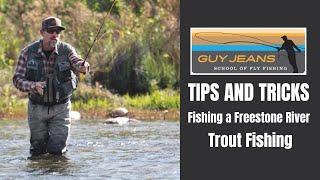 Tips and Tricks for trout fishing on a free stone river