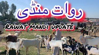 Rawat mandi Rawalpindi 2024 latest update Rawat mandi with rate