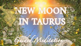 New Moon Meditation In Taurus May 2023 - Major Root Chakra Upgrade You Do Not Want To Miss