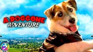 A DOGGONE ADVENTURE  Full Family Adventure Dog Movie