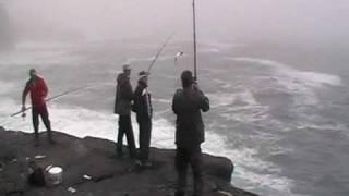 Mackerel madness at Valentia Island