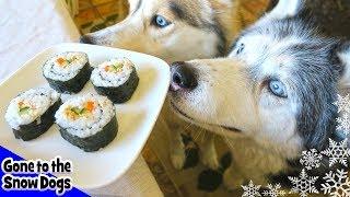 How to Make Sushi for Dogs  DIY Dog Treats