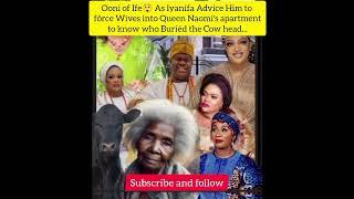 Ooni  As Iyanifa Advice Him to förce Wives into Naomis apartment to know who Buríéd the Cow head.