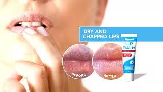 DERMAL THERAPY LIP BALM - Long Version - Malaysia