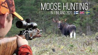 NH Moose Hunting in Finland  2020