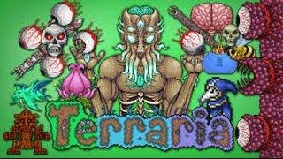 Terraria Defeating all bosses