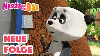 Mascha und der Bär  Der Neue Fernseher  NEUE FOLGE  Masha and the Bear