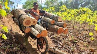 Genius way to transport lots of wood using a motorbike