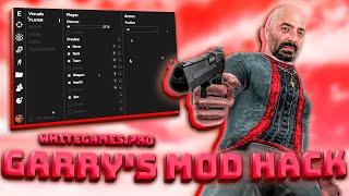 Best Garry’s Mod Free Cheats  Free Download 2024  Garry’s Mod AIM + WH