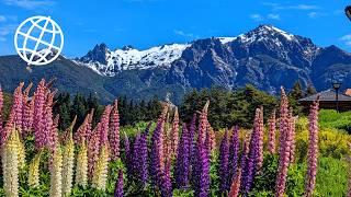 Argentine Lake District Around Bariloche and 7 Lakes Drive  Amazing Places 4K