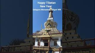 Happy Tibetan New Year #shortsvideo #youtubeshorts #monastery