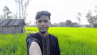 My 1st Vlog In My Village  Village Life Vlogs