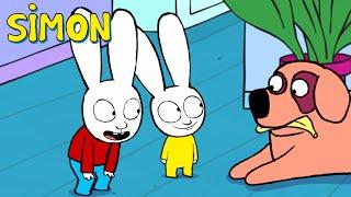 Milou has hurt his paw 🩺🩹 Simon  2 hours compilation  Season 3 Full episodes  Cartoons for Kids