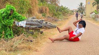 Ultimate Best of Best Bushman Prank in Africa Compilation 2024