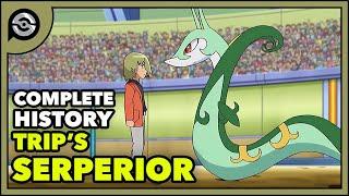 Trips Serperior From Snivy to POWERHOUSE  Complete History