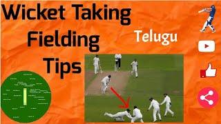 Wicket Taking  Run Reducing  Cricket Fielding Strategy  【తెలుగు】