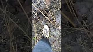 Adidas stan Smith in the mud part 5