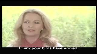 Cock Crows at Eleven LIMMORALITÀ - film 1978