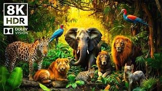MOST EXOTIC FOREST ANIMALS Dolby Vision 8K HDR    with cinematic sounds colorful animal life