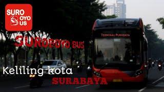 ANDALAN WARGA SURABAYA  TRIP SUROBOYO BUS RUTE PURABAYA-RAJAWALI