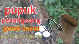 pupuk perangsang getah karet dan kelapa sawit