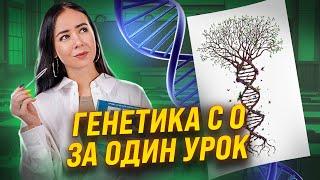 Генетика с нуля  Биология ЕГЭ