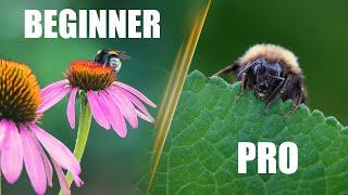 7 Insect Macro Photography Tips Improve in 8 Minutes