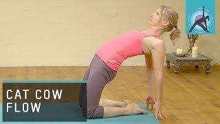 Cat Cow Flow Yoga with Esther Ekhart