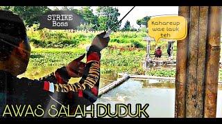 Mancing palumbon  Yang depan hanya bisa pasrah STRIKE Bosss