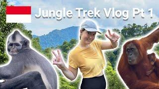 Finding Orangutans in Gunung Leuser National Park  Jungle Trekking in Sumatra - Part 1  Vlog #5